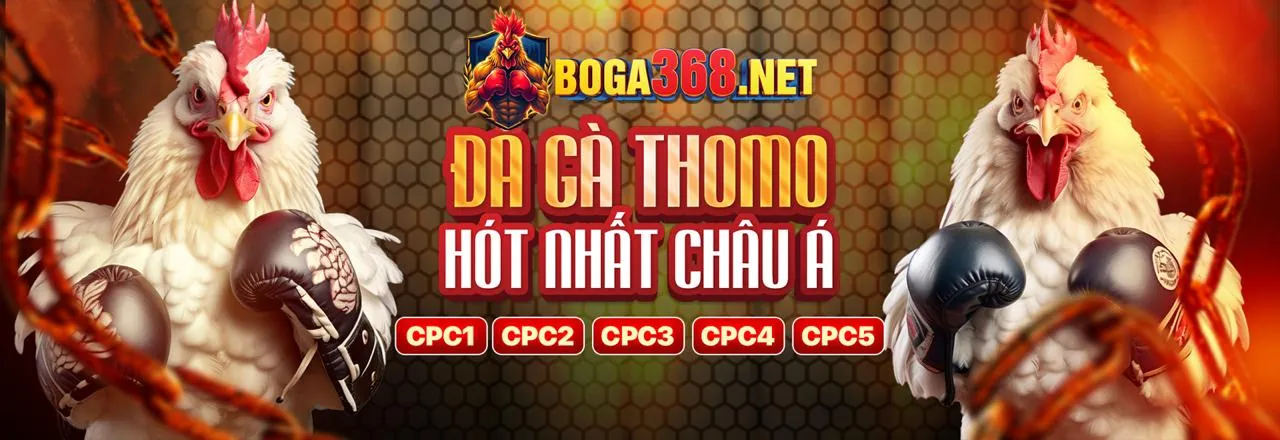 Hỗ trợ khách hàng 188bet 250 casino